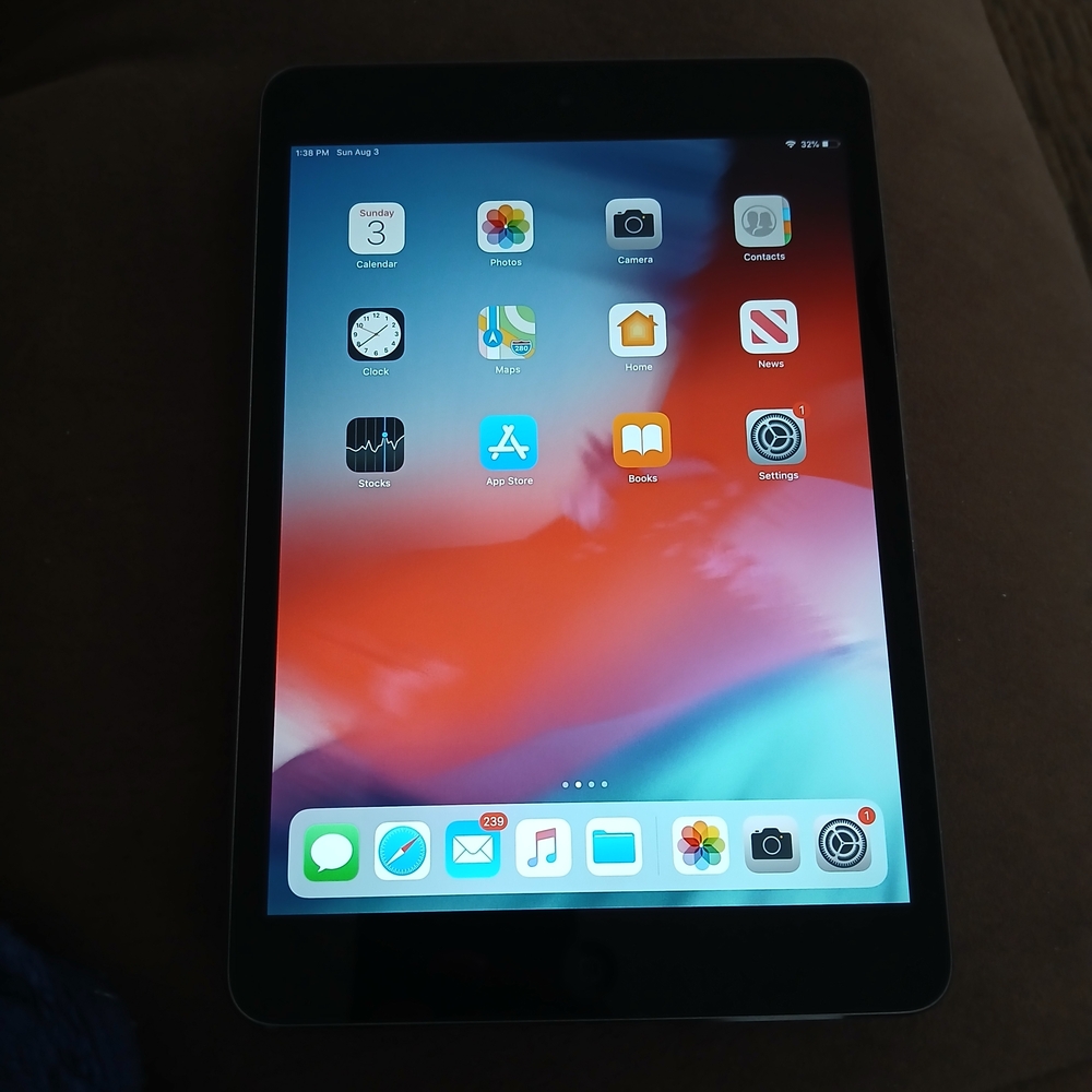 Apple iPad with Black Bezel